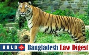 Enforced disappearance of natural forest conservators from Sundarbans: de jure vs. de facto
